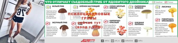 ПСИЛОЦИБИНОВЫЕ ГРИБЫ Абинск