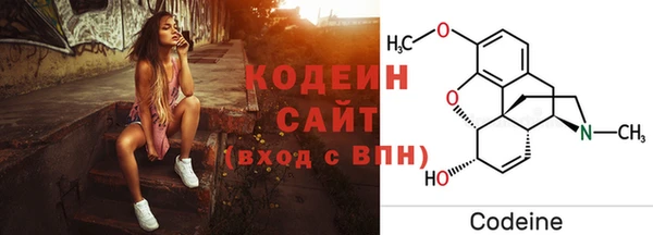 дмт Абаза